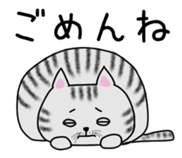 Cat of shima sticker #12900712