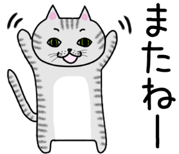 Cat of shima sticker #12900714