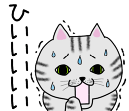 Cat of shima sticker #12900716