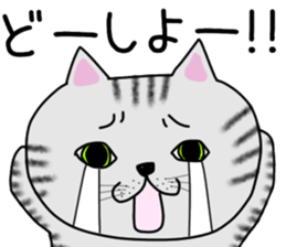Cat of shima sticker #12900717