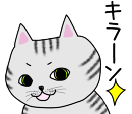 Cat of shima sticker #12900720