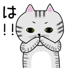 Cat of shima sticker #12900721