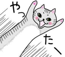 Cat of shima sticker #12900722