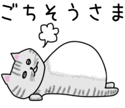 Cat of shima sticker #12900725