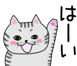 Cat of shima sticker #12900727