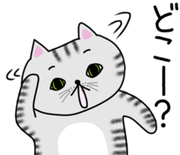 Cat of shima sticker #12900728