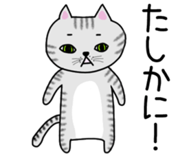 Cat of shima sticker #12900729