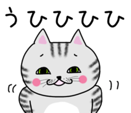 Cat of shima sticker #12900731