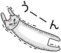 Cat of shima sticker #12900732