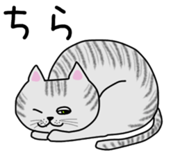 Cat of shima sticker #12900733