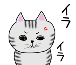 Cat of shima sticker #12900734
