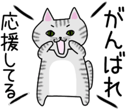 Cat of shima sticker #12900735