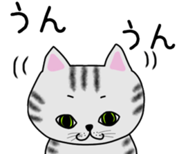 Cat of shima sticker #12900737