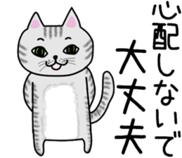 Cat of shima sticker #12900740