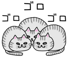 Cat of shima sticker #12900741