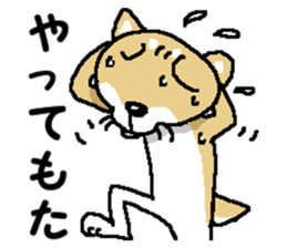 Mr.Shiba 4 sticker #12904023