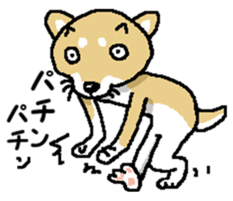 Mr.Shiba 4 sticker #12904027