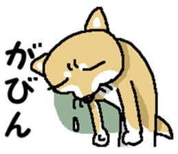 Mr.Shiba 4 sticker #12904029