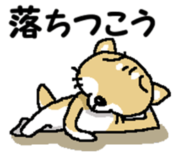 Mr.Shiba 4 sticker #12904045