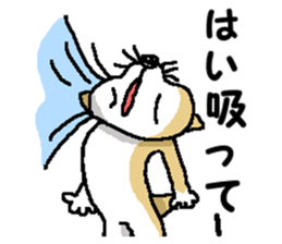 Mr.Shiba 4 sticker #12904046