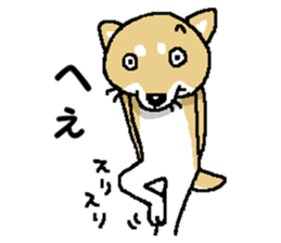 Mr.Shiba 4 sticker #12904048