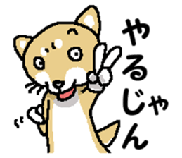 Mr.Shiba 4 sticker #12904054