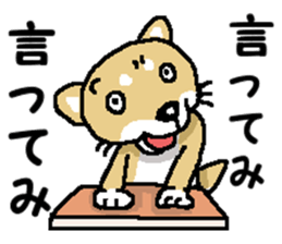 Mr.Shiba 4 sticker #12904058