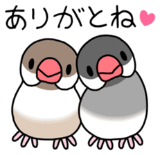 Parakeet and Java sparrow sticker #12904510