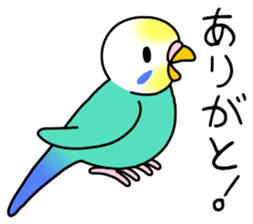 Parakeet and Java sparrow sticker #12904512