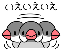 Parakeet and Java sparrow sticker #12904516