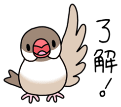 Parakeet and Java sparrow sticker #12904519
