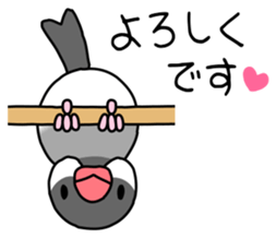 Parakeet and Java sparrow sticker #12904522