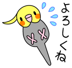 Parakeet and Java sparrow sticker #12904523