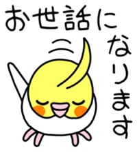 Parakeet and Java sparrow sticker #12904525