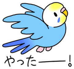 Parakeet and Java sparrow sticker #12904527