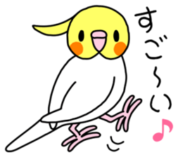 Parakeet and Java sparrow sticker #12904528
