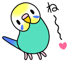 Parakeet and Java sparrow sticker #12904530