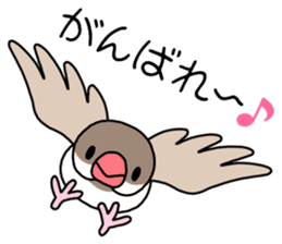 Parakeet and Java sparrow sticker #12904535