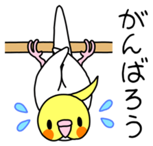 Parakeet and Java sparrow sticker #12904536