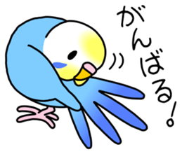 Parakeet and Java sparrow sticker #12904537