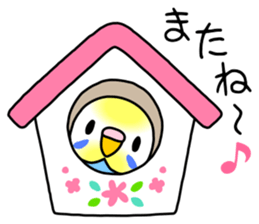 Parakeet and Java sparrow sticker #12904538