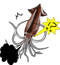 pacific saury sticker #12907290