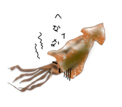 pacific saury sticker #12907295