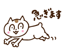 Big eyes cat. sticker #12907691