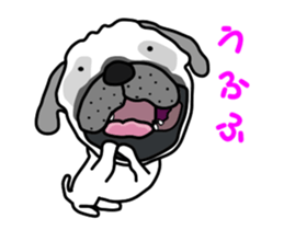 Motion sticker of pug dog sticker #12911184