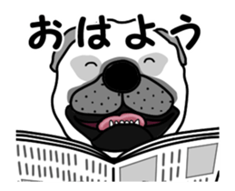 Motion sticker of pug dog sticker #12911191