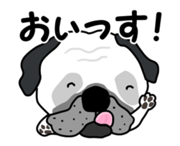 Motion sticker of pug dog sticker #12911192
