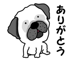 Motion sticker of pug dog sticker #12911196