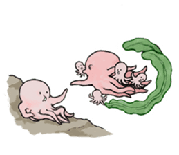 octopus stickers japan sticker #12911529