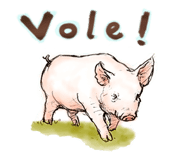 pig's life sticker in spanish sticker #12911552
